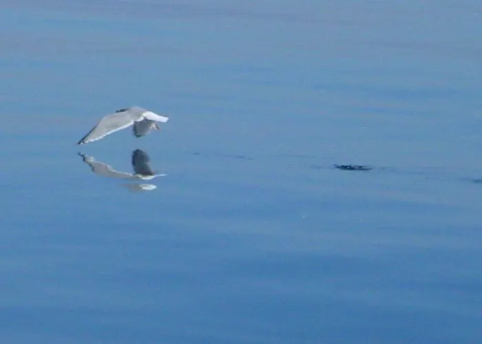 Duenenblick Strandkieker Apartment *