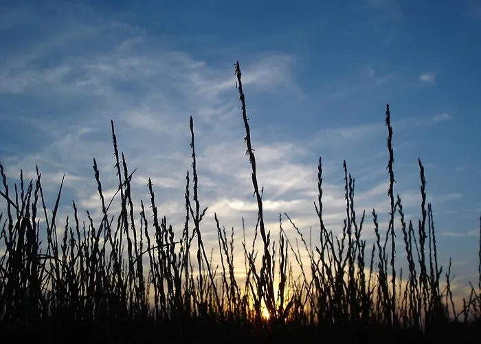 Duenenblick Strandkieker *